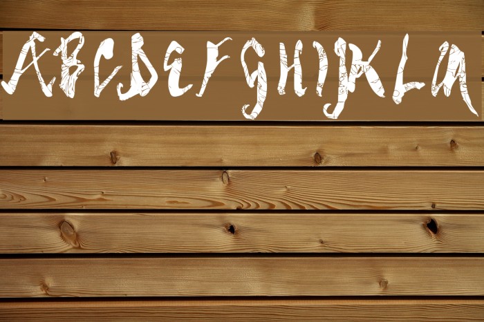 Spider Bite Bold Font examples