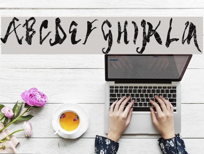 Spider Bite Bold Font examples