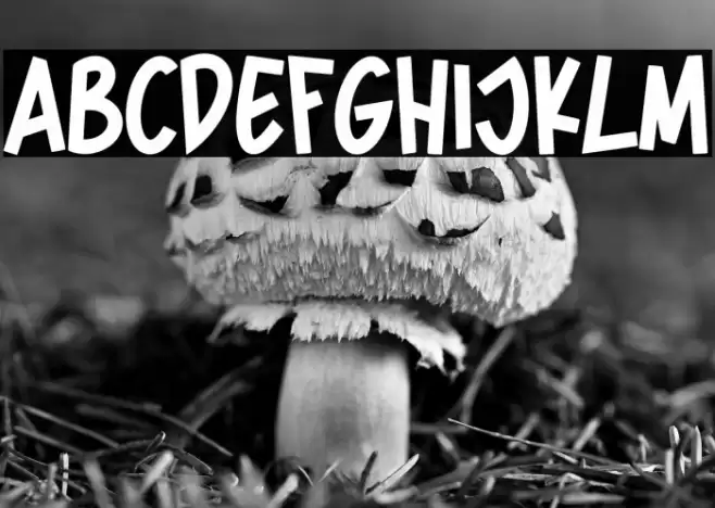 Spider Home Fonte examples