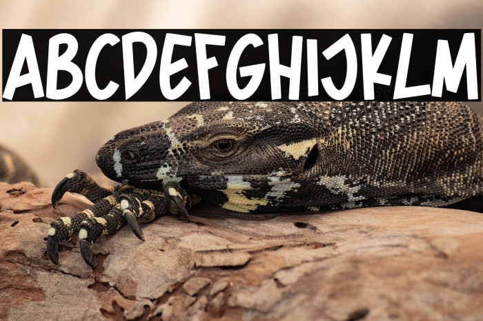 Spider Home Example 2