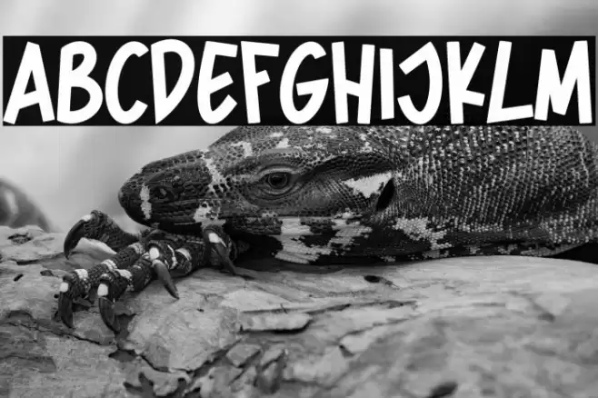 Spider Home Fonte examples