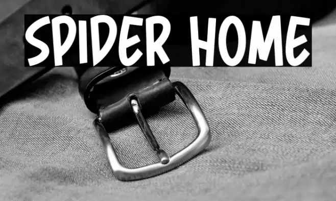 Spider Home 字体 examples