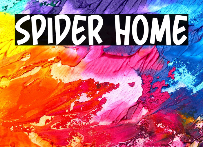 Spider Home Example 2