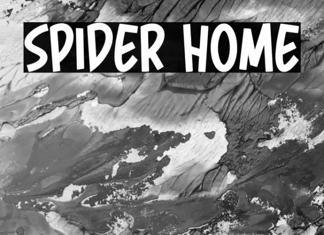 Spider Home 字体 examples