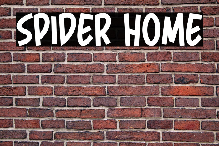 Spider Home Example 3