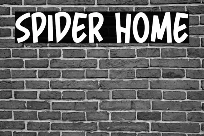 Spider Home 字体 examples