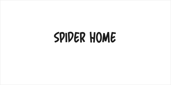 Spider Home Logo