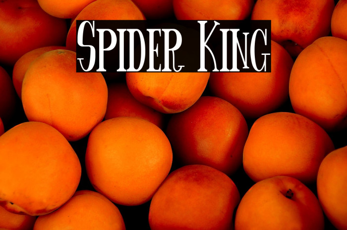 Spider King Example 1