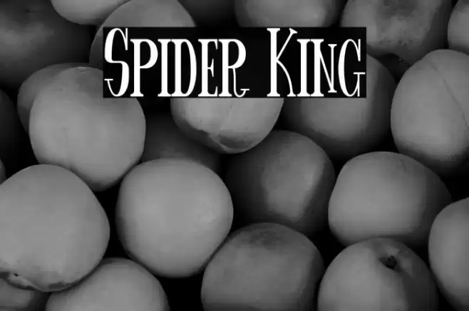 Spider King Font examples
