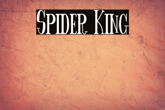 Spider King Example 2