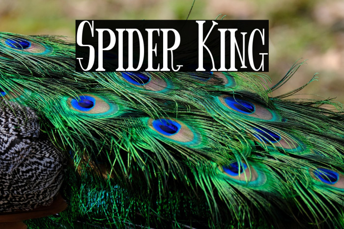Spider King Example 3