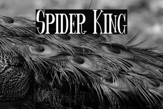 Spider King Font examples