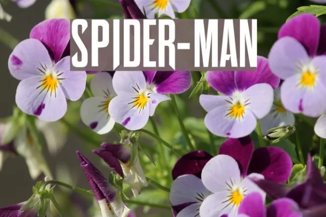 Spider-Man Example 1