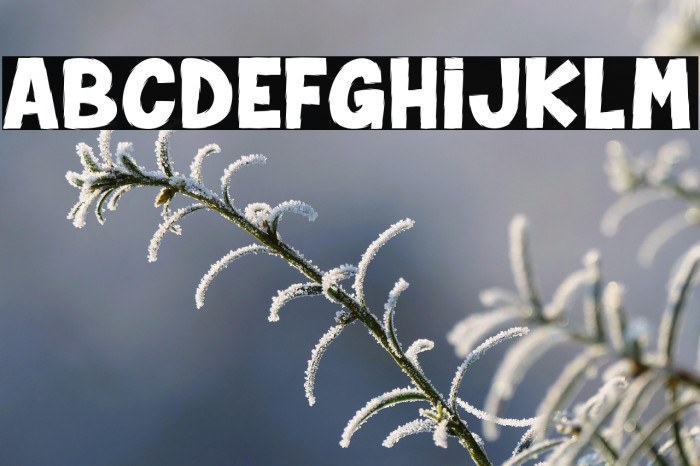 Spider Monkey_PersonalUseOnly Example 2