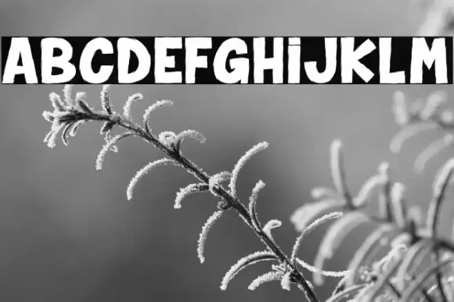 Spider Monkey_PersonalUseOnly Schriftart examples