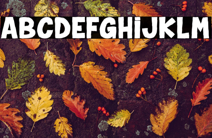 Spider Monkey_PersonalUseOnly Example 3