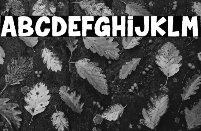 Spider Monkey_PersonalUseOnly Schriftart examples