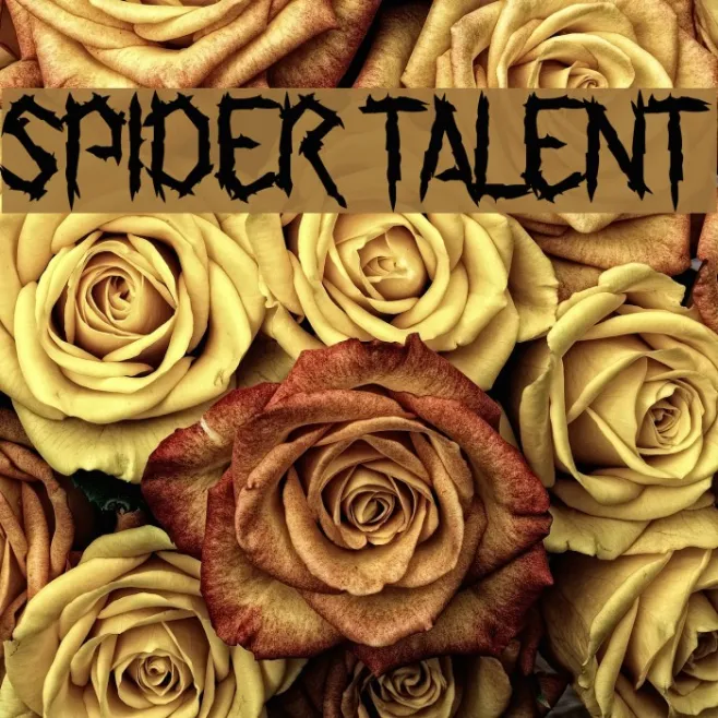 Spider Talent Example 1
