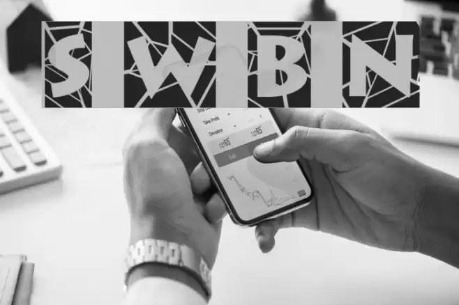 Spider Web Block Normal Font examples