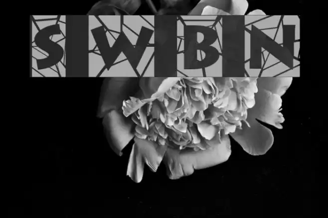 Spider Web Block Normal Font examples