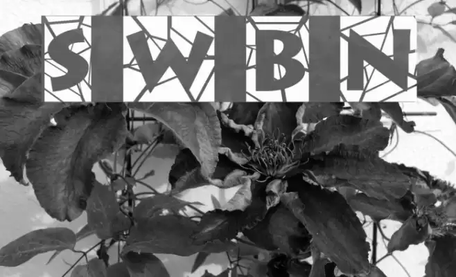 Spider Web Block Normal Font examples