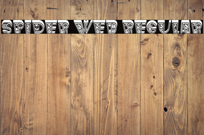 Spider Web Regular Example 1