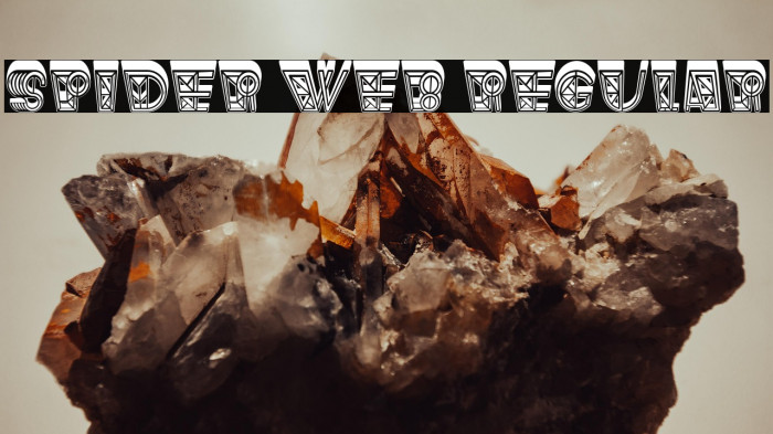 Spider Web Regular Example 2