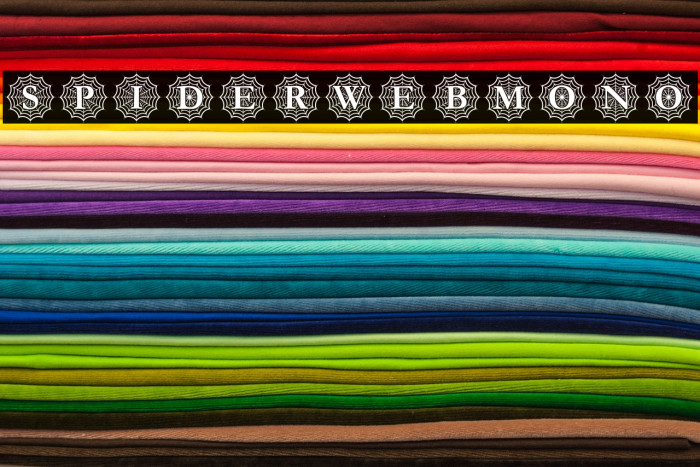 Spider_Web_Mono Font examples