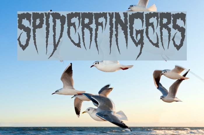 Spiderfingers Schriftart examples