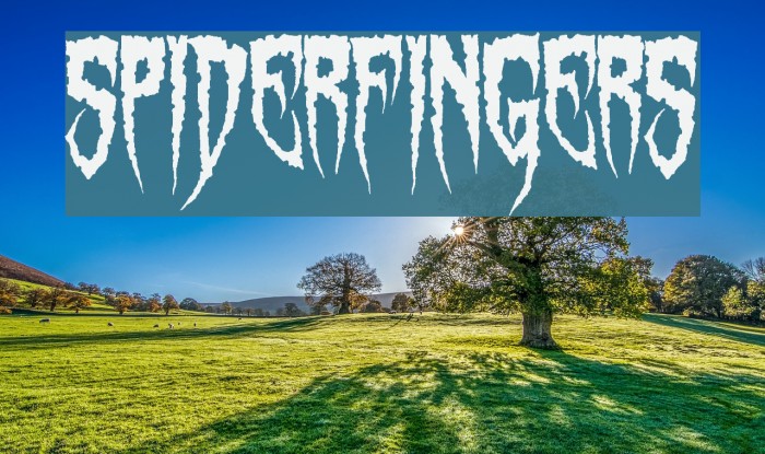 Spiderfingers Schriftart examples