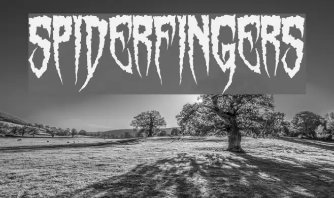 Spiderfingers Font examples