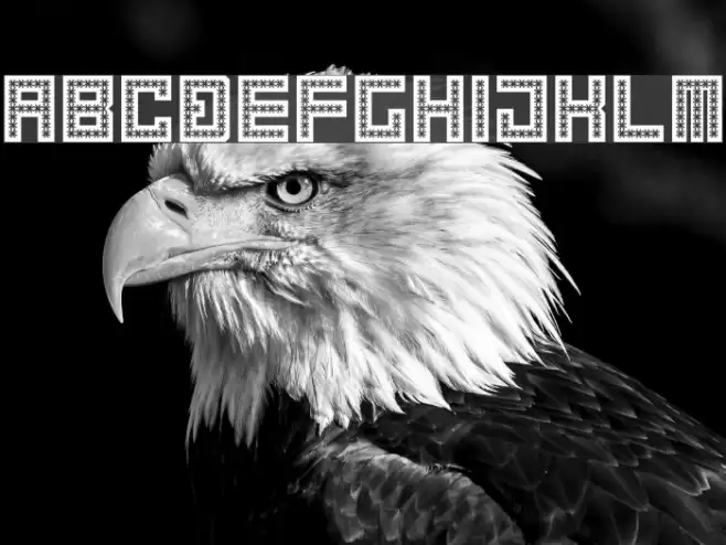 Spiderling Regular Font examples