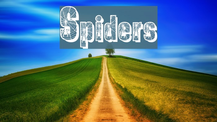 Spiders Schriftart examples