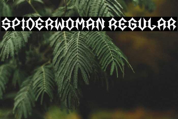 Spiderwoman Regular Example 1