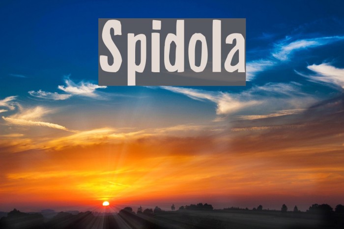 Spidola Font examples