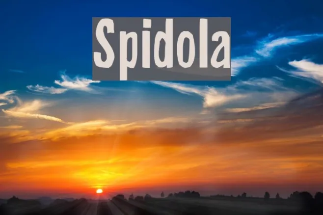 Spidola Example 2