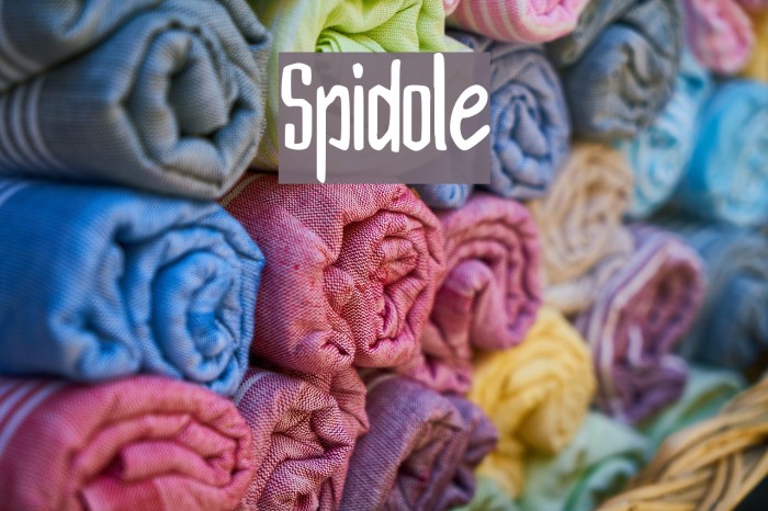 Spidole Font examples