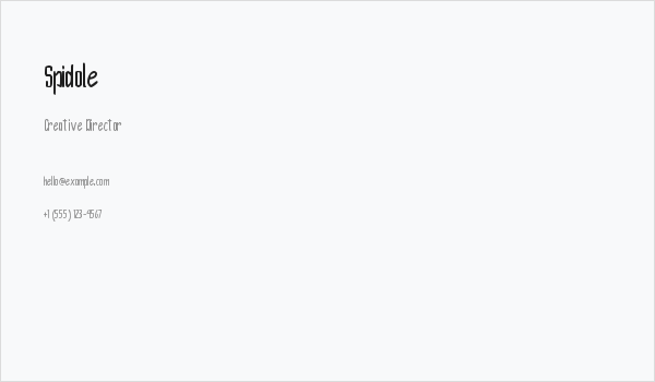 Spidole Business Card