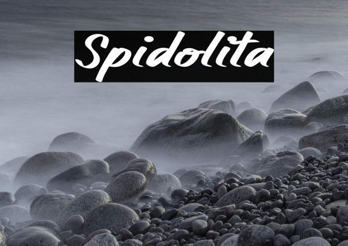 Spidolita Example 2