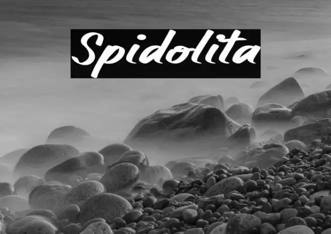 Spidolita Font examples