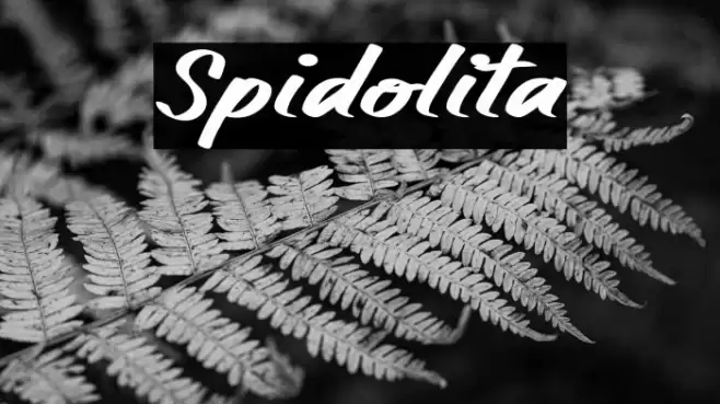 Spidolita Font examples