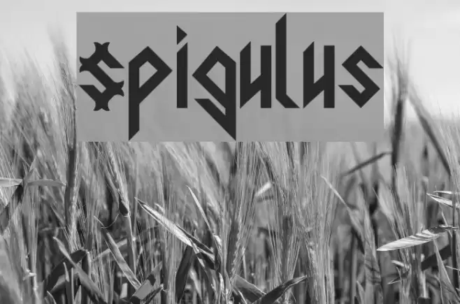 Spigulus Font examples