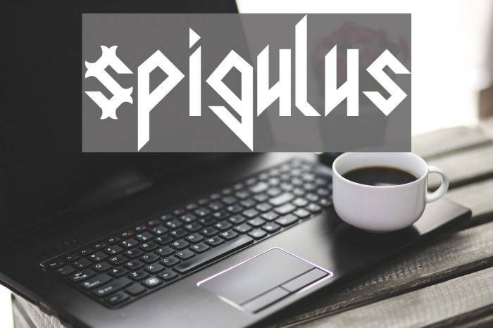 Spigulus Example 2