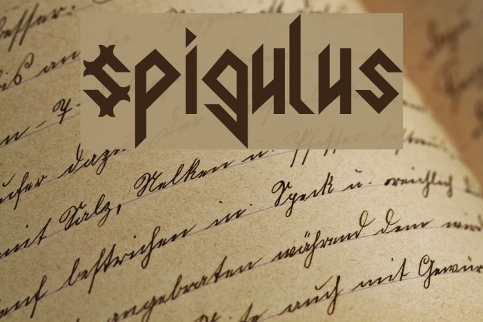 Spigulus Example 3