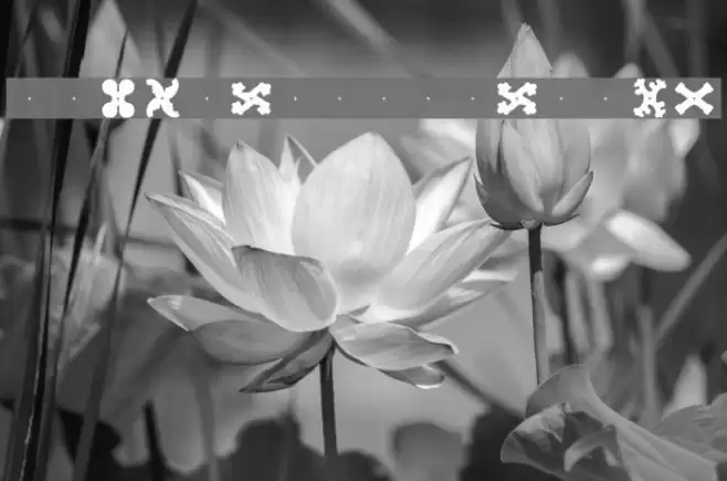 Spijner-Powerplay Schriftart examples