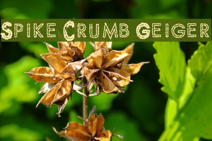 Spike Crumb Geiger Шрифта examples