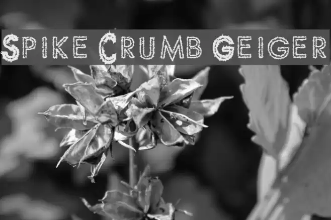 Spike Crumb Geiger Font examples