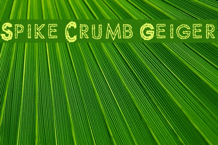 Spike Crumb Geiger Шрифта examples