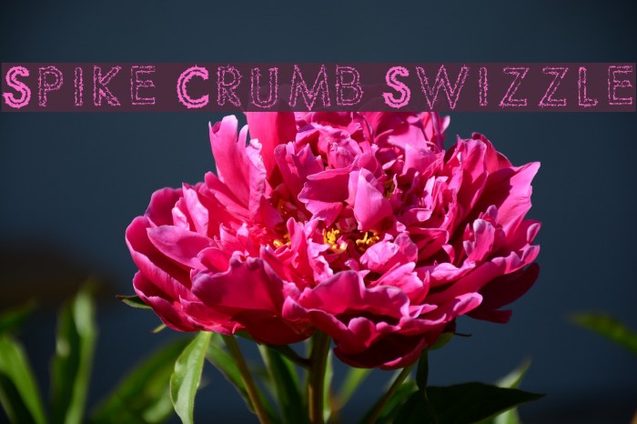 Spike Crumb Swizzle Fuentes examples