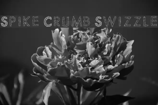 Spike Crumb Swizzle Font examples